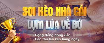 Một số câu hỏi liên quan về kèo nhà cái thường gặp nhất